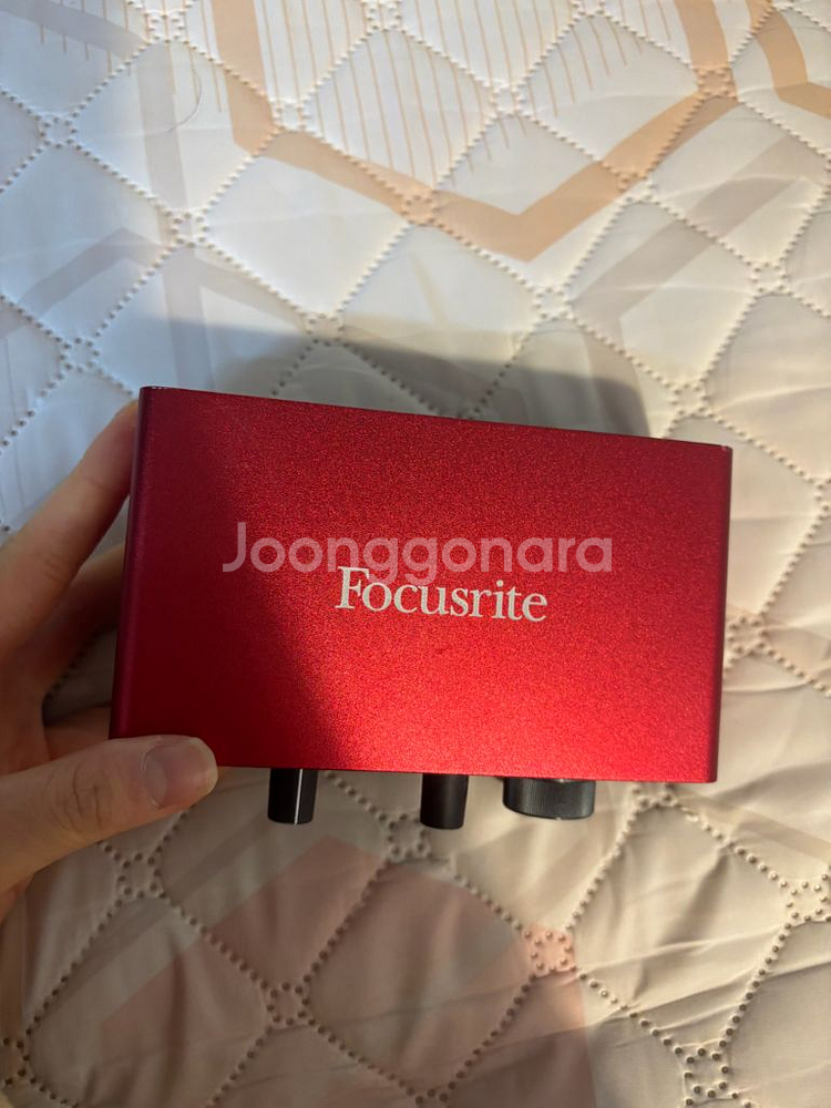 포커스라이트 스칼렛 솔로3세대--0