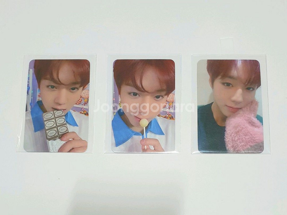 박지훈 디마뮤 미공포 세트 포토카드 포카 특전--0