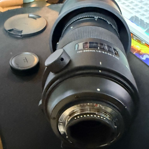 시그마 스포츠 150-600mm 니콘 F마운트
