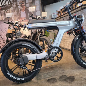 이지베이션 BS 슬릭엣지 전기 자전거 새 제품입