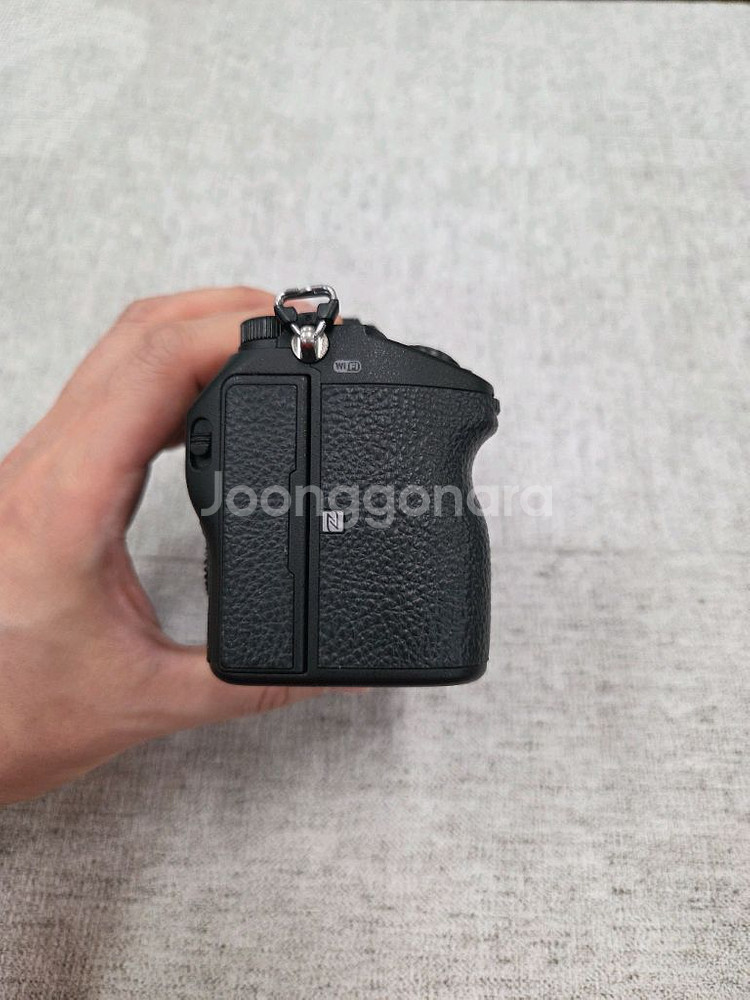 소니 A7M3 + FE 24-105mm--5