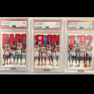 psa 1992 미국 농구 드림팀 카드 세트 조던 매직 말론