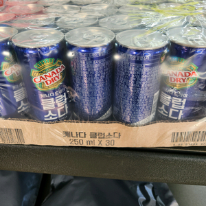 캐나다드라이 클럽소다 250ml 30캔