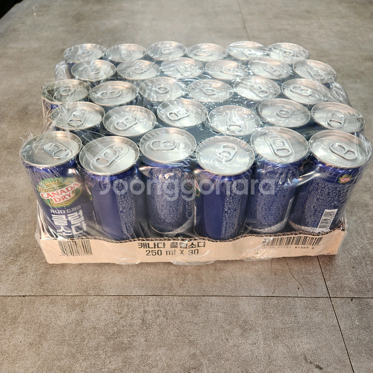 캐나다드라이 클럽소다 250ml 30캔--1