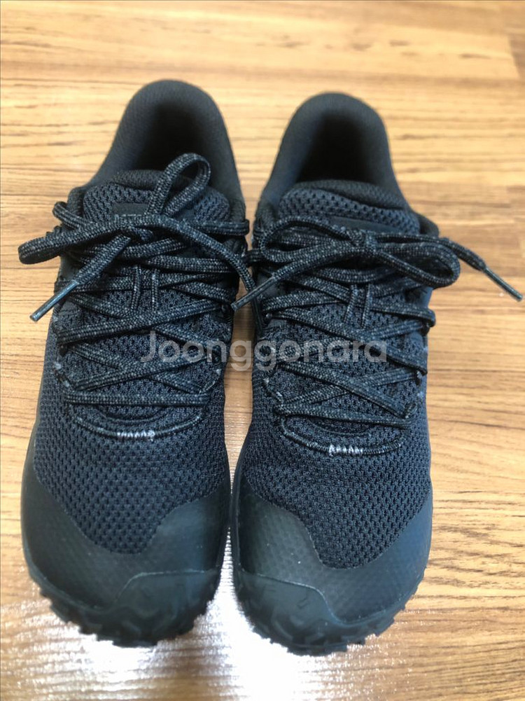 머렐 트레일 글로브 7 여성 운동화--0