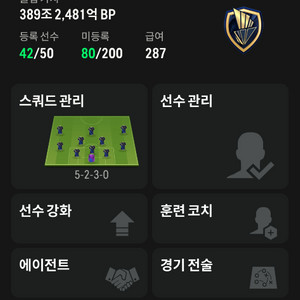 fc온라인굿즈480조