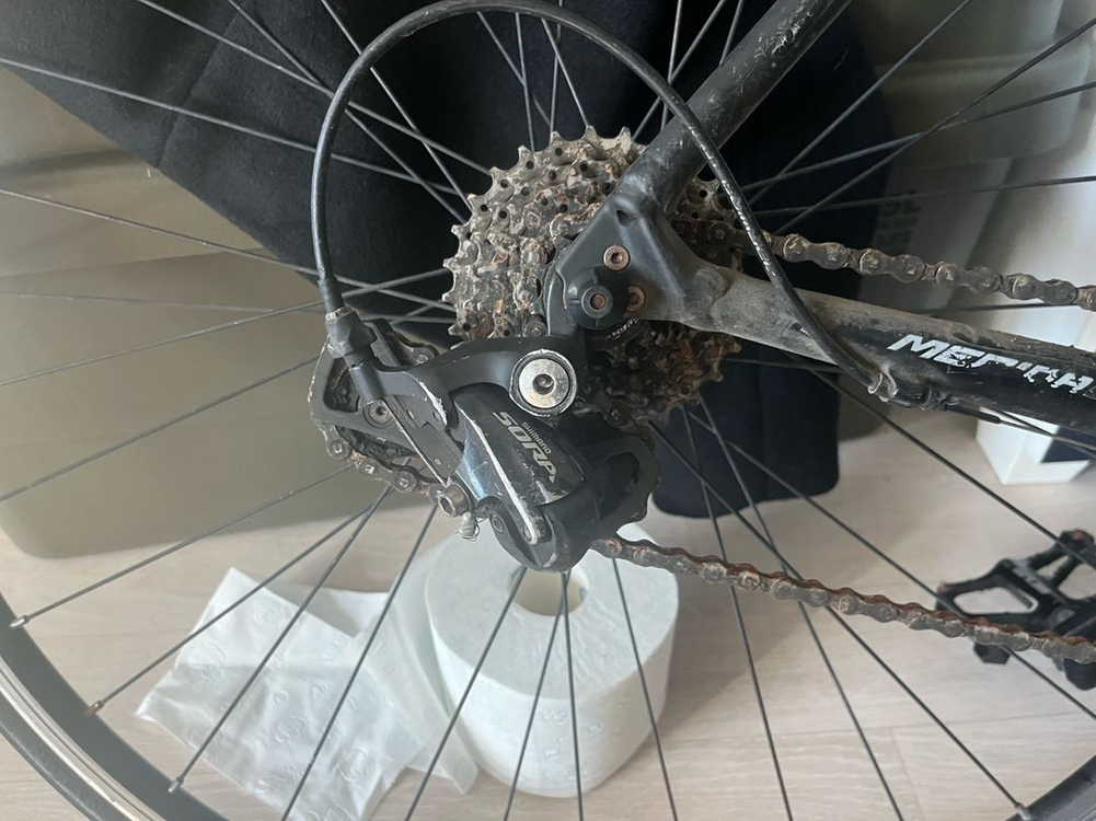 매리다 스컬트라100--2