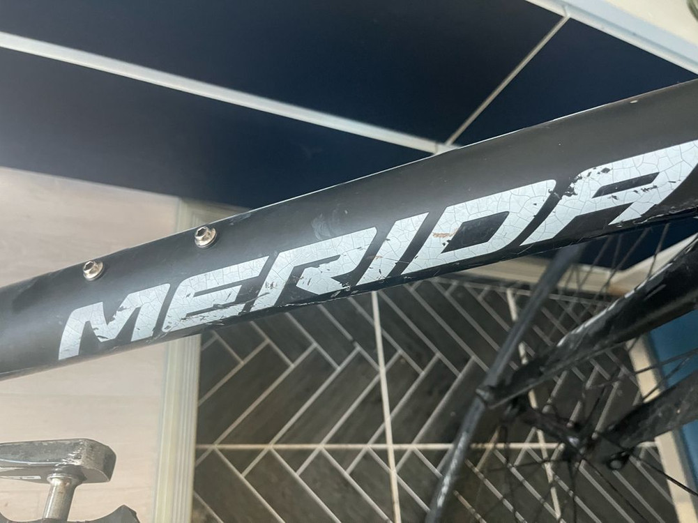 매리다 스컬트라100--5