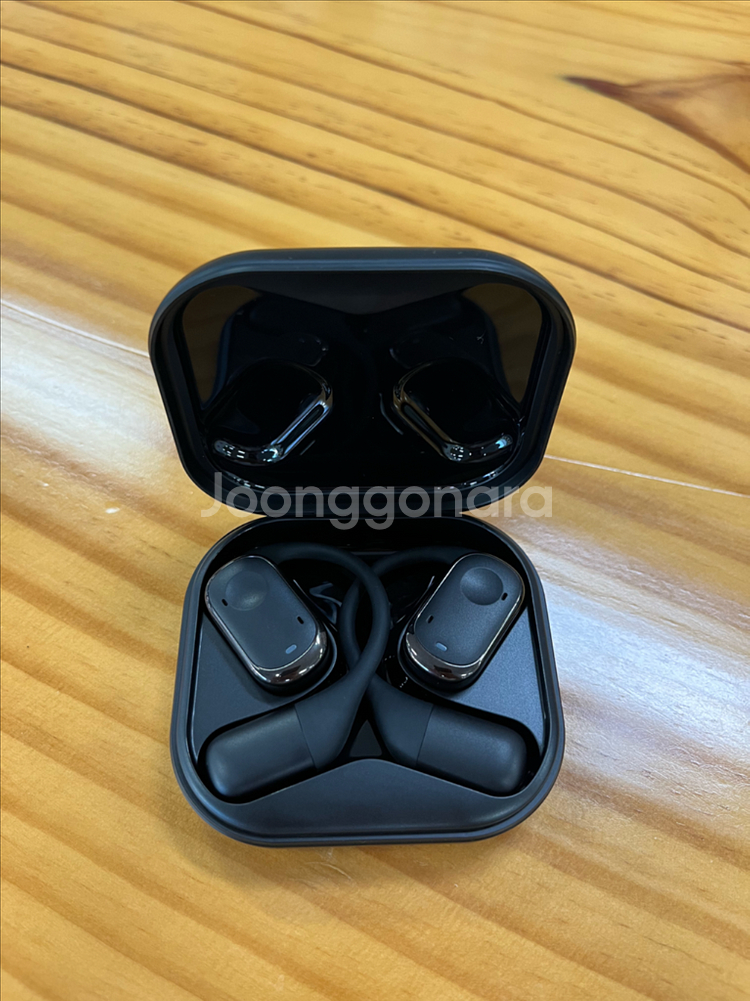 블라우풍트 오픈형 무선이어폰--0