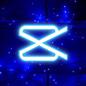 캡컷 프로 단독계정 1/6/12개월