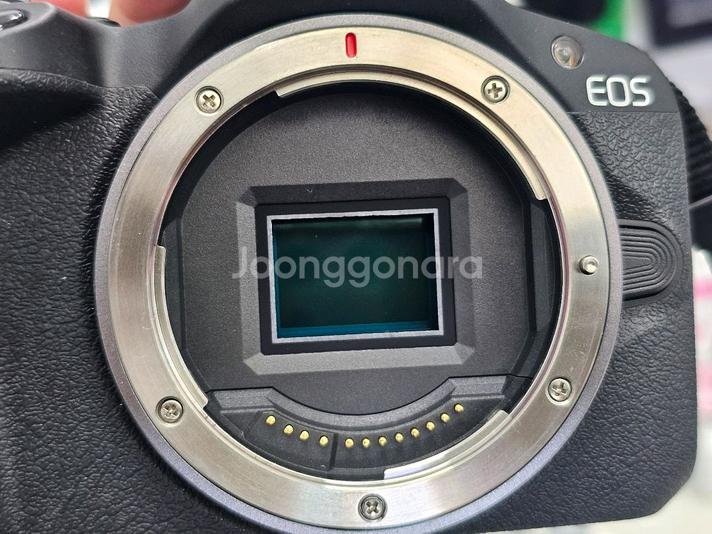 캐논 EOS R50 미러리스 카메라--3