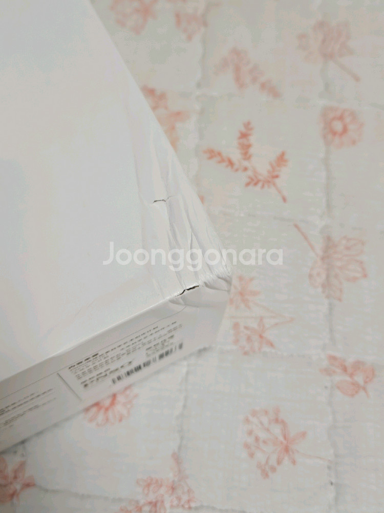 PNSO 카메론 티라노사우루스 공룡 피규어--3