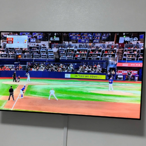 LG 55인치 OLED TV