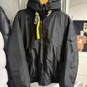 파라점퍼스 고비 코어