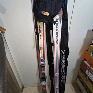 다이나스타르 스키 145