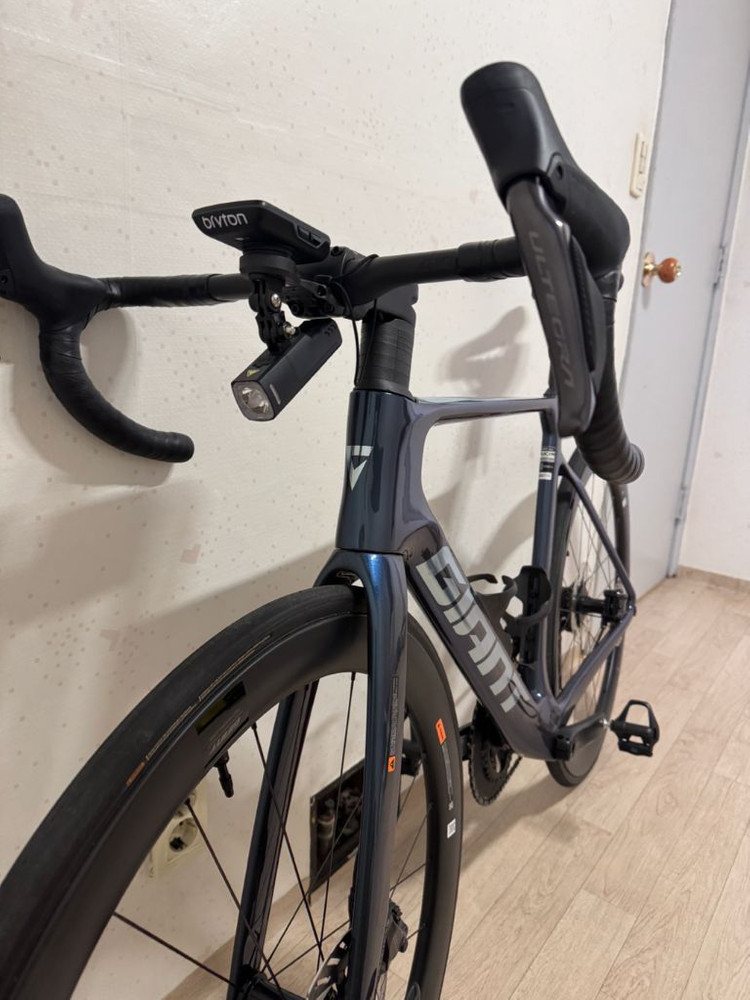 2025 자이언트 프로펠 어드밴스 프로 0 Di2 이미지