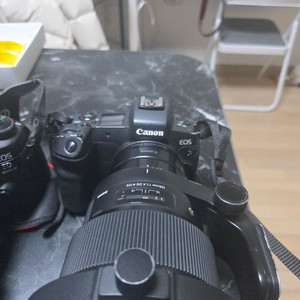캐논 EOS R + 시그마 105mm 렌즈 세트