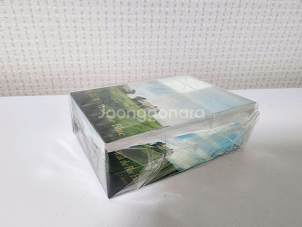 클레어 키건 푸른 들판을 걷다 유리 문진--0