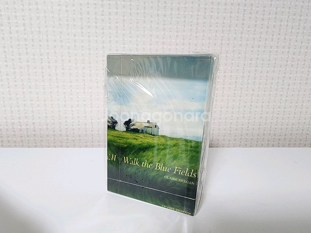클레어 키건 푸른 들판을 걷다 유리 문진--2