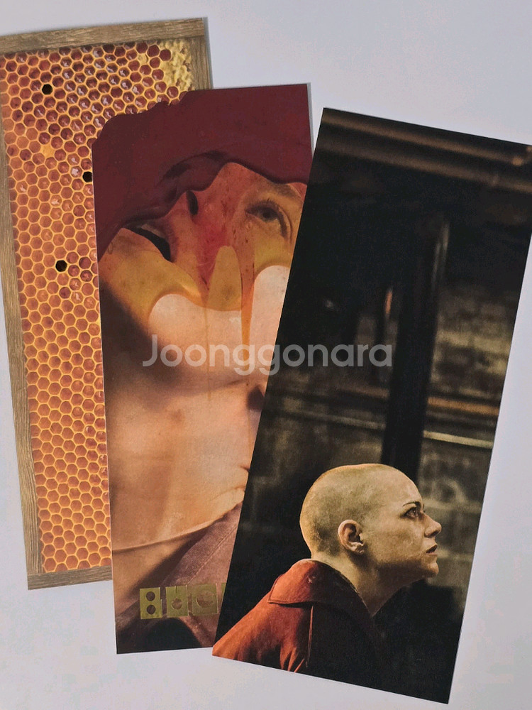 부고니아 cgv 특전 TTT thats the ticket--0