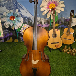 첼로 3/4 사이즈