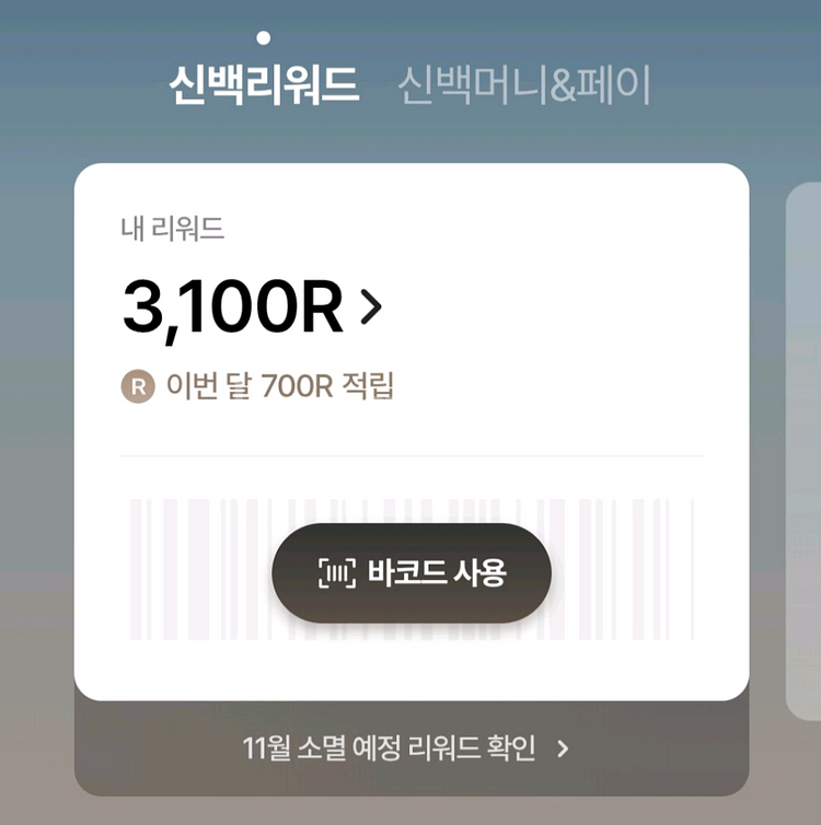 신백리워드 3,100 4개--0