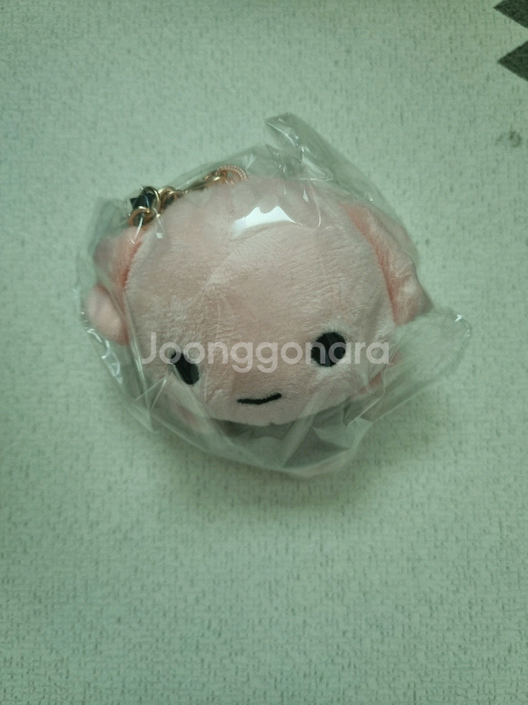 클리오 해리포터 콜라보 헤르미온느 아이 팔레트와 쿠션 21호--3