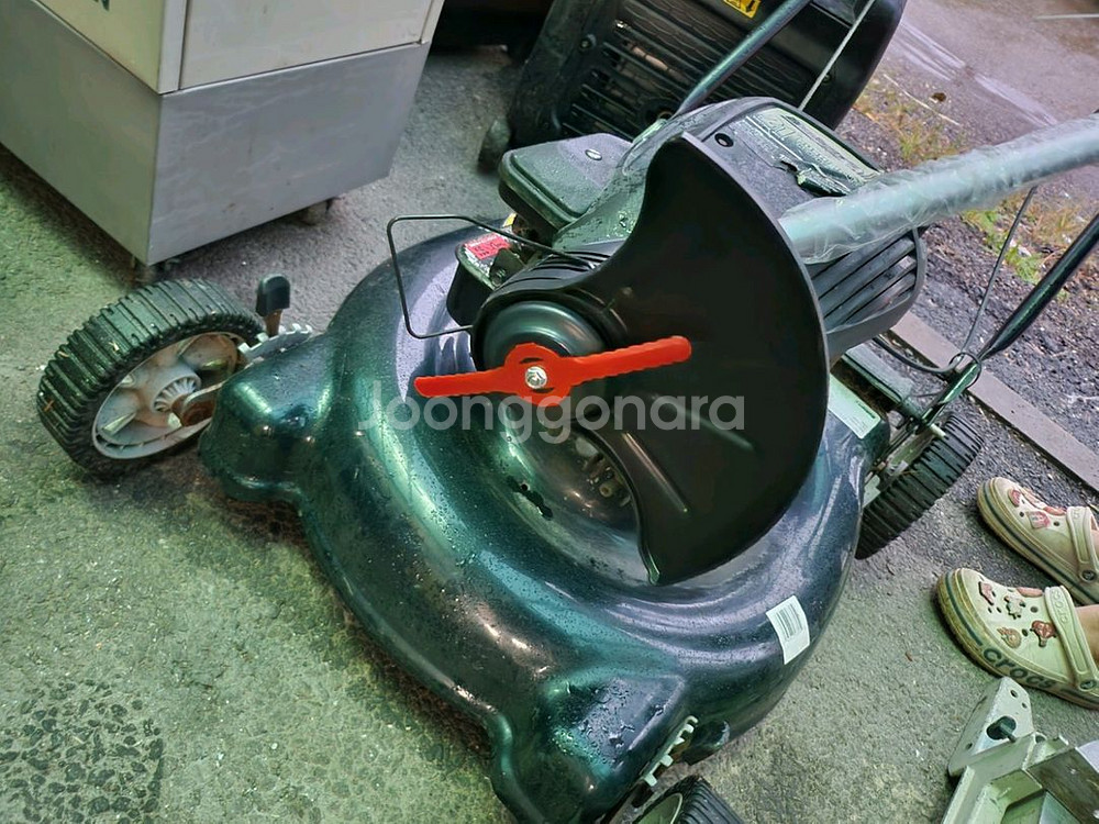 미국 뱅가드 엔진 Bolens 21인치 잔디카트 무선 충전 예초기--2