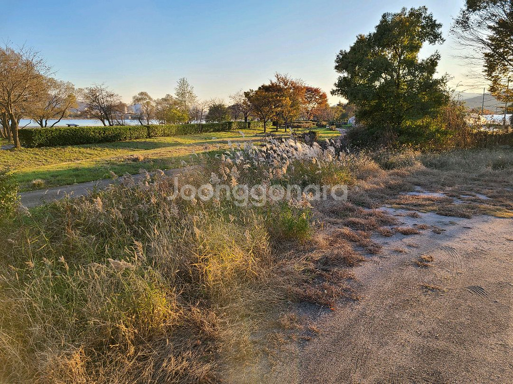 모바일 이마트 롯데마트 상품권--0