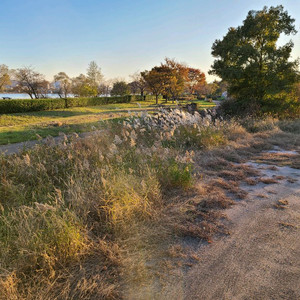 모바일 이마트 롯데마트 상품권