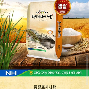 단일품종 쌀 10kg