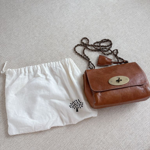 멀버리 릴리 미니백