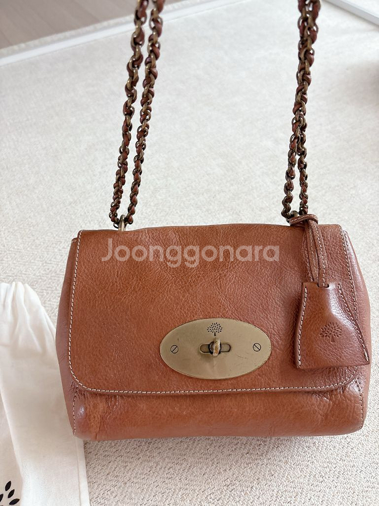 멀버리 릴리 미니백--1