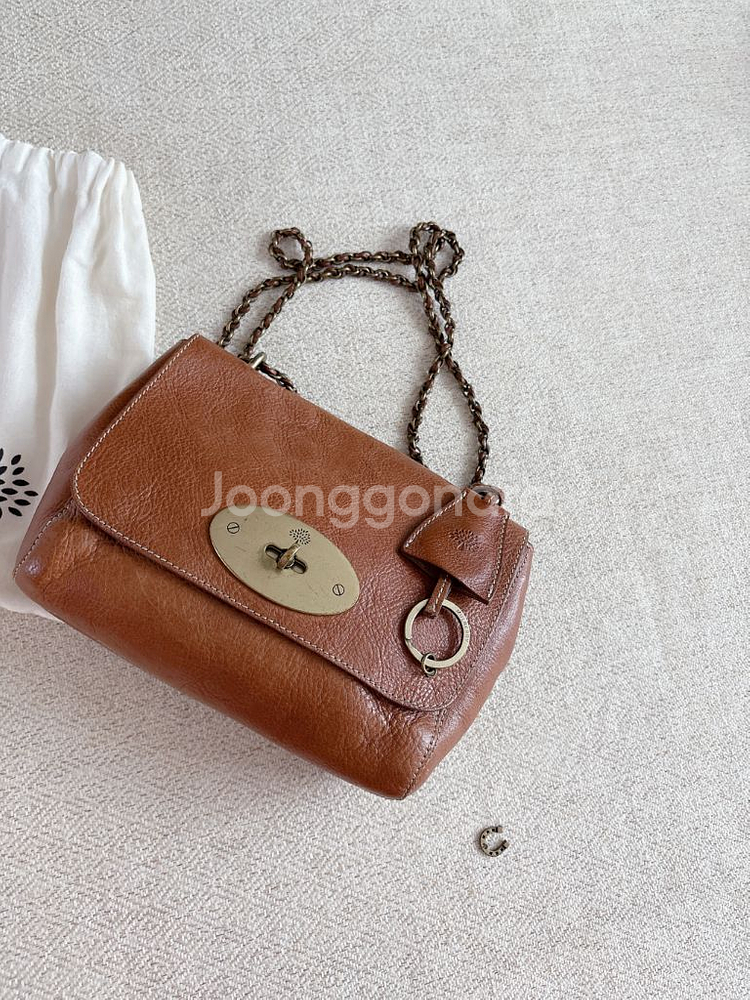 멀버리 릴리 미니백--4