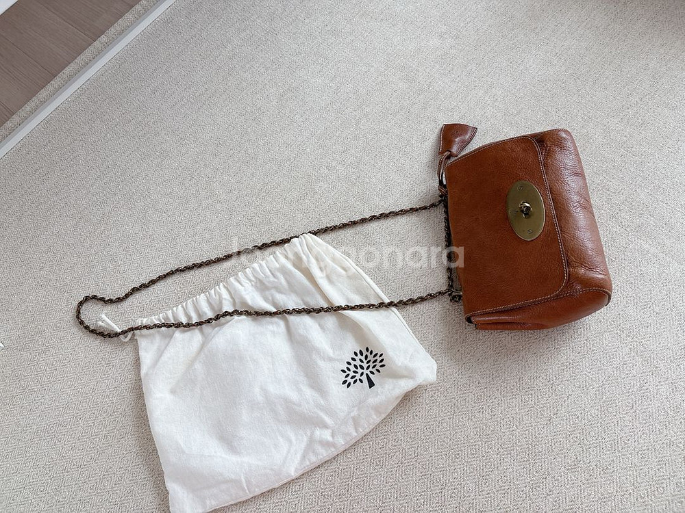 멀버리 릴리 미니백--3