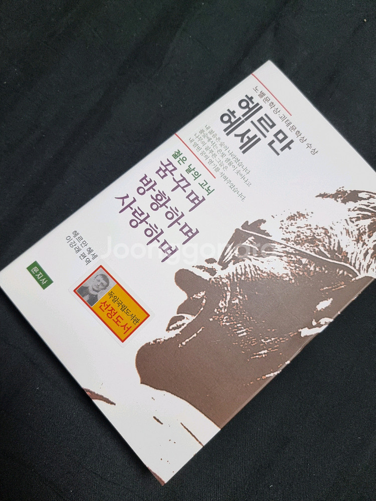 헤르만 헤세 꿈꾸며 방황하며 사랑하며--0