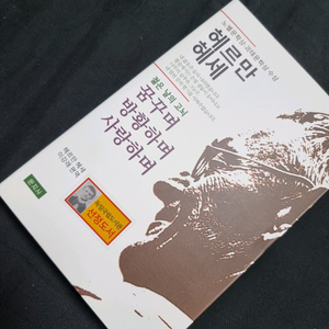 헤르만 헤세 꿈꾸며 방황하며 사랑하며