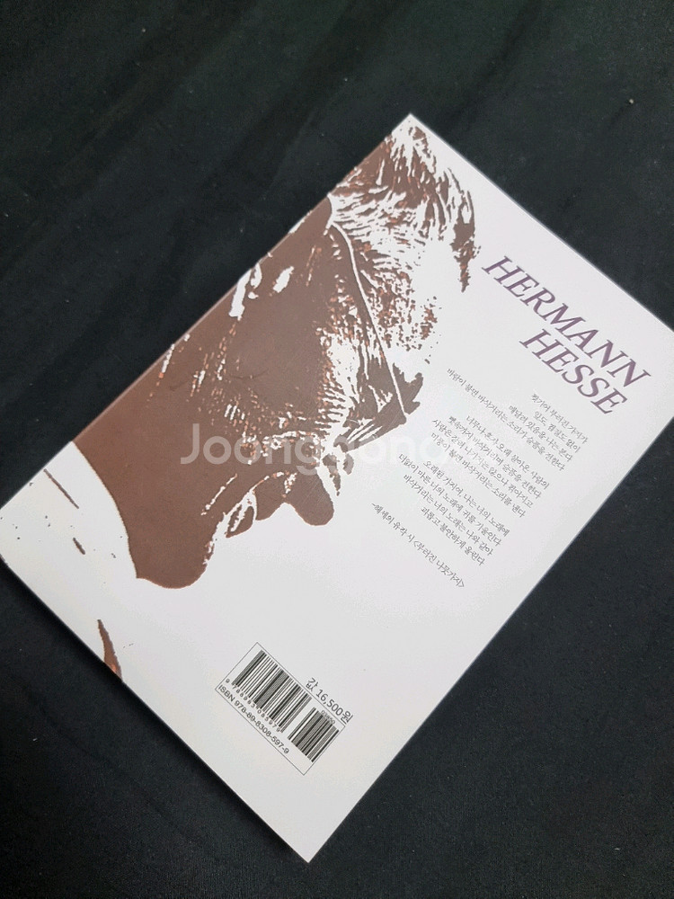 헤르만 헤세 꿈꾸며 방황하며 사랑하며--1