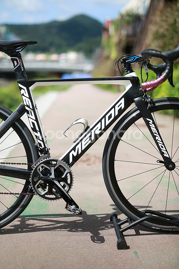 메리다 리액토 4000 S 50 105 람프레 팀--4