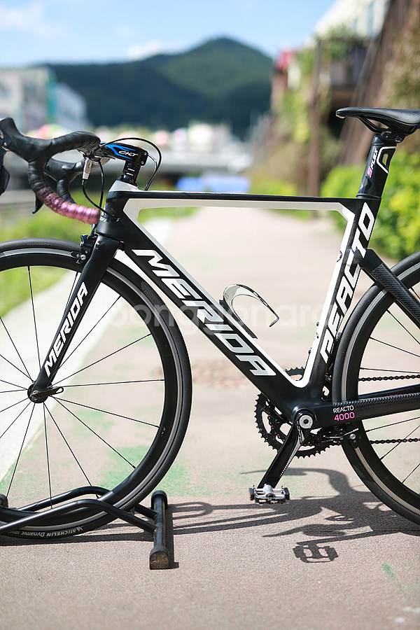 메리다 리액토 4000 S 50 105 람프레 팀--5