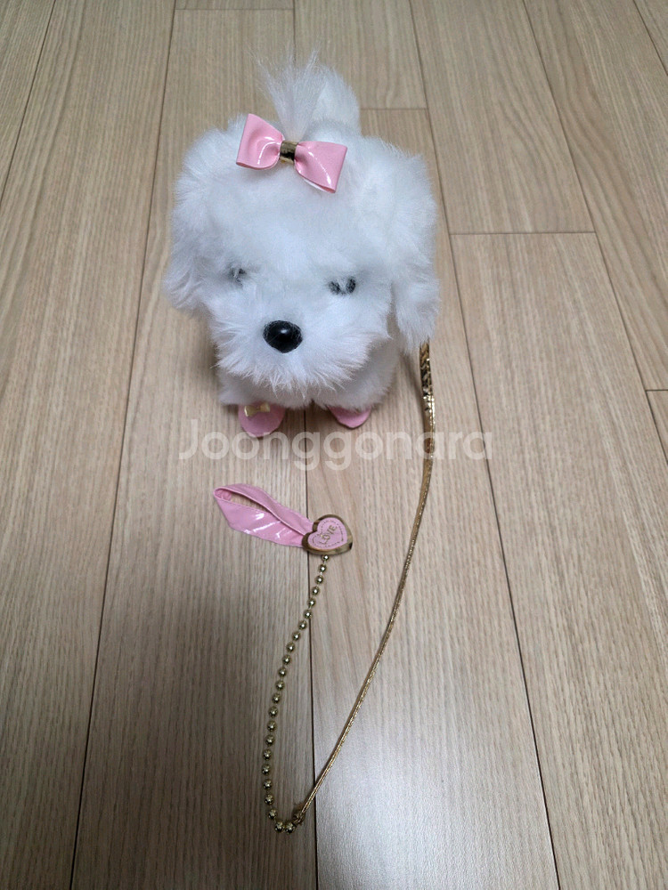 나랑 함께 걷는 공주말티--0