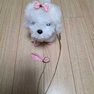 나랑 함께 걷는 공주말티