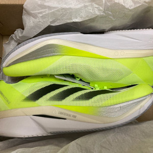 아디다스 아디제로 보스턴 12 260