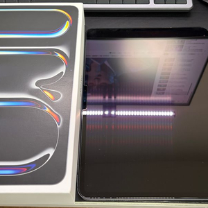 아이패드 프로 13인치 M4 256GB