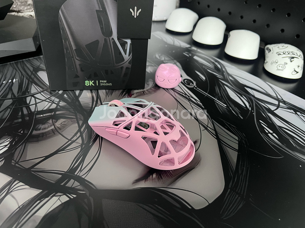 Wlmouse Beast x Pro Blue Pink--2