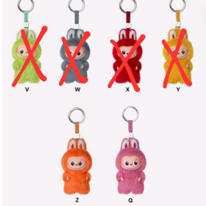 미니 라부부 정품 내마음속 비밀번호 키링 급처 Q Z