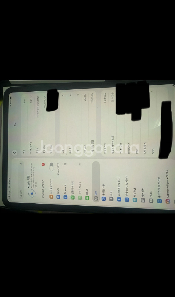 아이패드프로 11 m5 256g 블랙 셀룰러--1