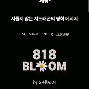 지드래곤 818 블룸 한정판 굿즈