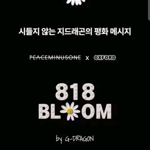 지드래곤 818 블룸 한정판 굿즈