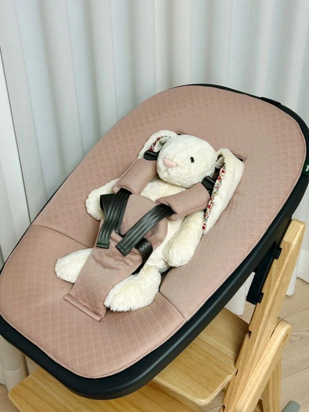 모지 예삐 하이체어 뉴본 이미지